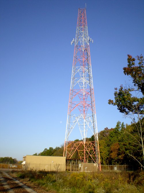 Property photo 3 - 202+/- Acres Offered in 7 Tracts